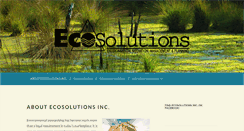 Desktop Screenshot of ecosolutionsinc.net